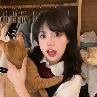 觅法奇程